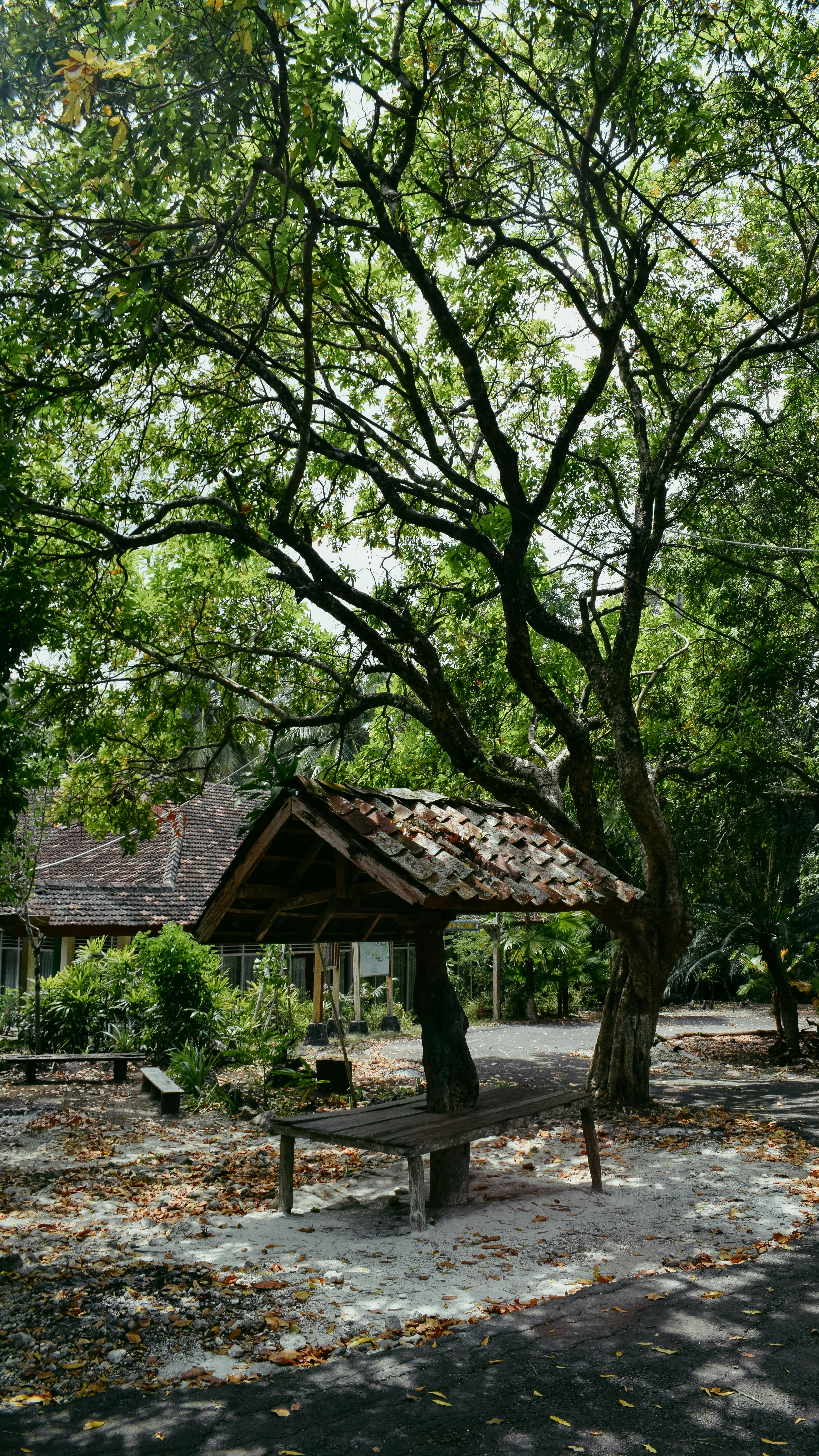 brown wooden house near green trees during daytime